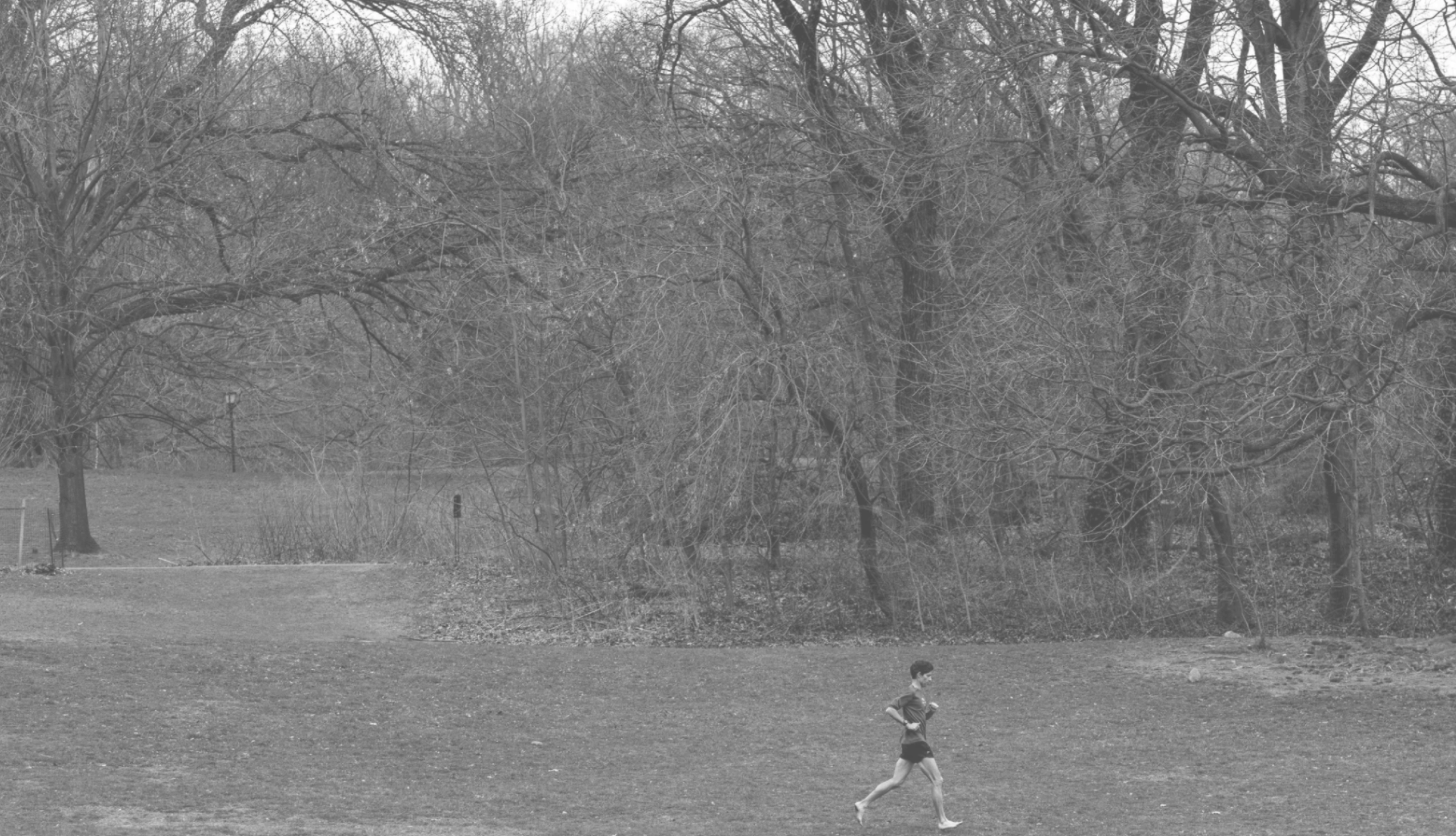 runner in a field with trees